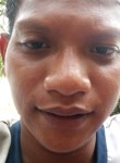 Arief, 26 лет, Kota Dumai
