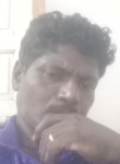 Tam, 43 года, Chennai