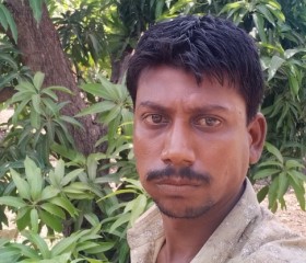 Nikul Kaladiya, 35 лет, Gariadhar
