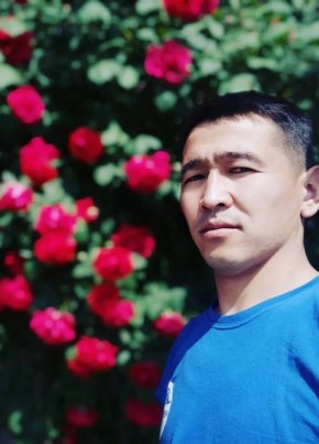 Makhmudzhon, 36, Uzbekistan, Tashkent