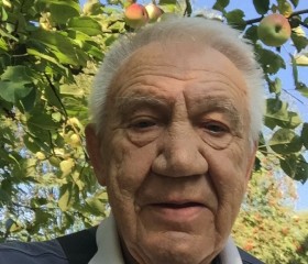 Sevastyan, 76, Moscow