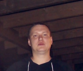 миша демидов, 43 года, Ярославль