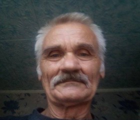 Леонид Козырь, 71 год, Камянське