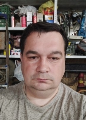 Aleksey, 40, Russia, Ryazan