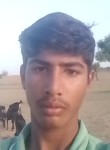 Amit, 18  , Rajaldesar