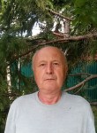 Александр Голяко, 78 лет, Мытищи