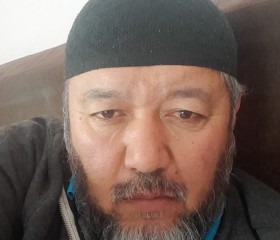 Шарахат, 53 года, Обнинск