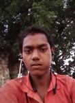 Ramesh, 22 года, New Delhi
