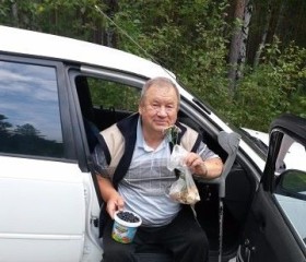 АЛЕКСНДР , 72 года, Первоуральск