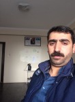 kerem can, 33 года, Ergani