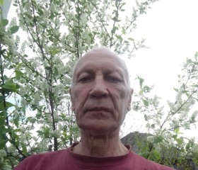 Александр, 64 года, Киселевск