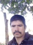 Salvador García, 34 года, Puerto Vallarta