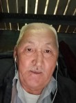 Рахим Бассаров, 65 лет, Орал