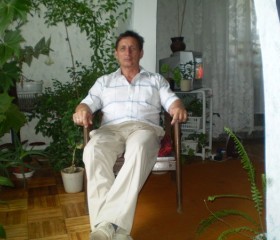 Анатолий, 68 лет, Дегтярск