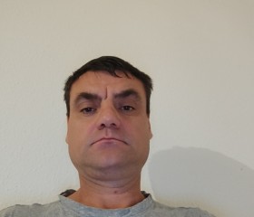 Nicolai, 47, Plauen