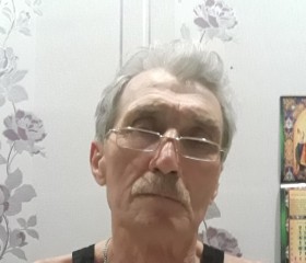Сергей Головин, 70 лет, Арамиль