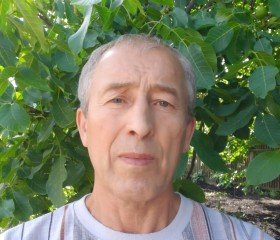 Виктор, 71 год, Кропивницький