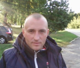 Альберт, 43 года, Брянск