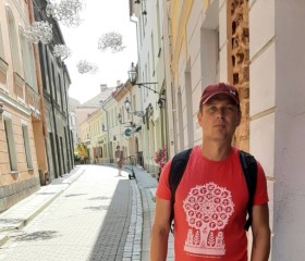 Виталик, 41 год, Vilniaus miestas