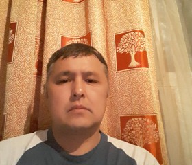Кайрат Аманкулов, 47 лет, Шымкент