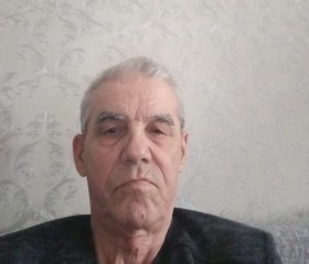 Татарин, 63 года, Казань