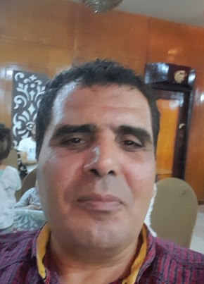 محمود, 38, Egypt, Shibin al Kawm
