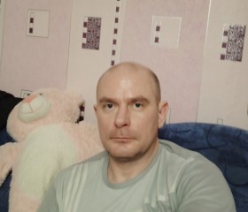 Дмитрий, 42 года, Пенза