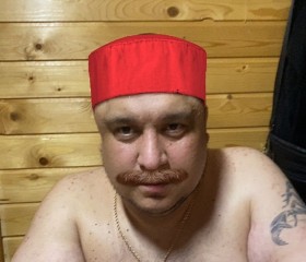 Anton, 42, Saint Petersburg