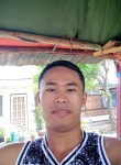 Mr. Vincent, 28 лет, Lungsod ng Dabaw