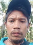 Dedyirawan, 18 лет, Rantauprapat