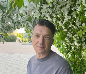 Вячеслав, 51 год, Новоуральск