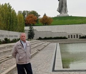 Анатолий, 69 лет, Волосово
