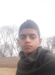 Malik Shoaib, 18 лет, فیصل آباد