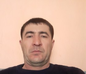 Шавкатбек, 38 лет, Шымкент
