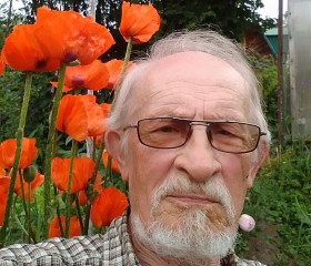 Aleksandr, 66, Arkhangelsk