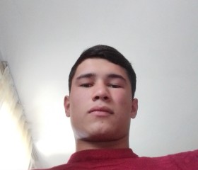 Firdavs Turaqulo, 19 лет, Toshkent