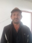 Ignacio, 59 лет, Santafe de Bogotá