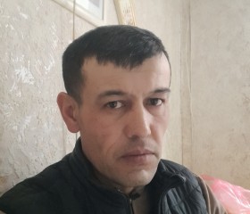 Бахадир, 42 года, Москва