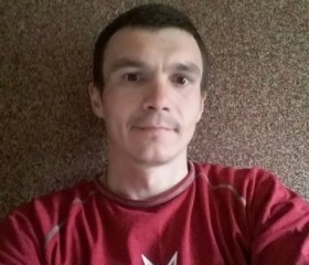 Евгений, 38 лет, Светлогорск