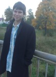 Денис Ефремов, 32 года, Гатчина