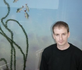 Антон, 29 лет, Русский