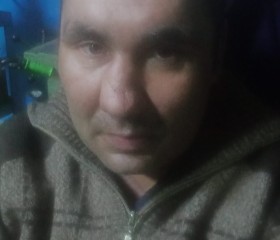 Wladimir, 42 года, Троицк (Челябинск)