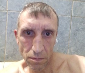 Алексей, 48 лет, Мошково