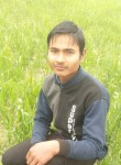 Sudhakar Kumar, 20 лет, Agra