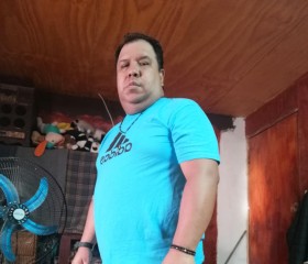 Rodrigo, 48 лет, Santiago de Chile