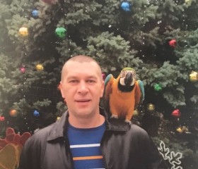 Владислав, 47 лет, Ростов-на-Дону