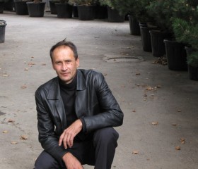 Сергей, 45 лет, Лосино-Петровский