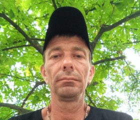 Алексей, 46 лет, Василівка
