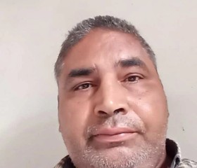 محمود, 45, Zifta