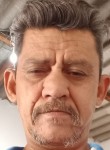 Paulo Moreira, 57 лет, Região de Campinas (São Paulo)